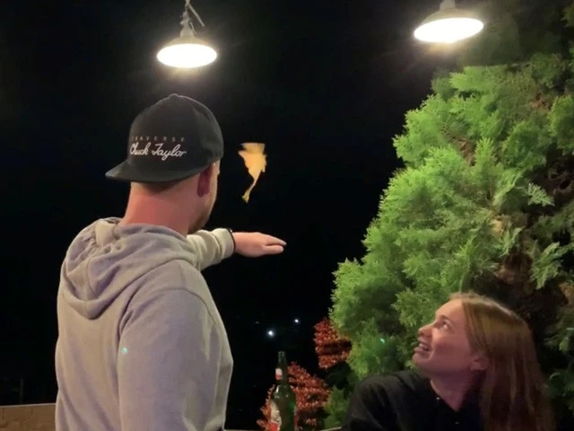 暗闇から飛んでた謎の生物。そのシルエットはまるで妖精！？