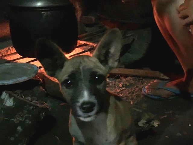 ギギがコッチ向いた！