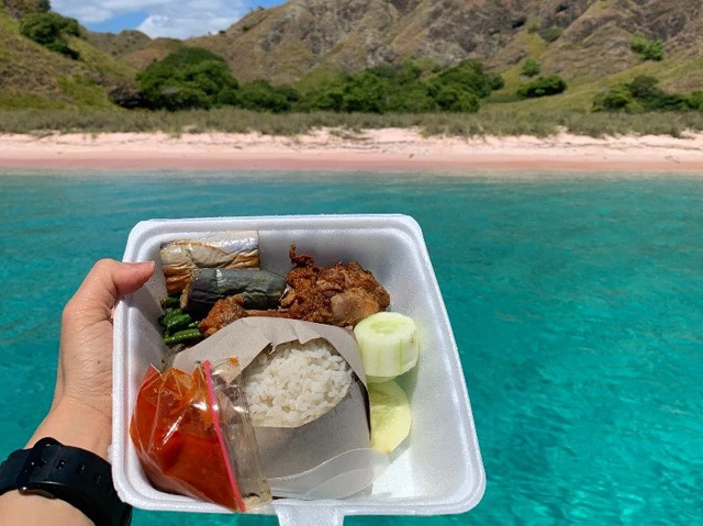 ランチはチキンと米と野菜。海キレイ！