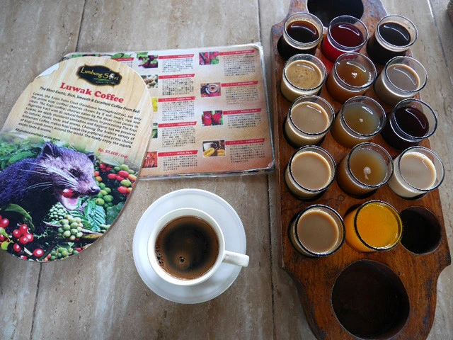 コピ・ルアックと試飲用のコーヒー。多すぎてひとりじゃ飲みきれん!