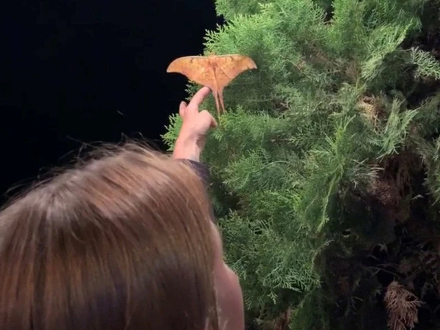 謎の生物に手を伸ばすルイーザ