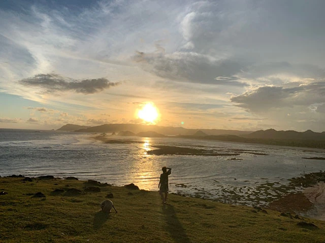 野犬と一緒にサンセットを見る