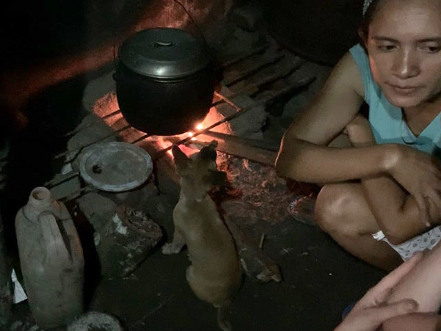 子犬のギギが炊飯を見張っている