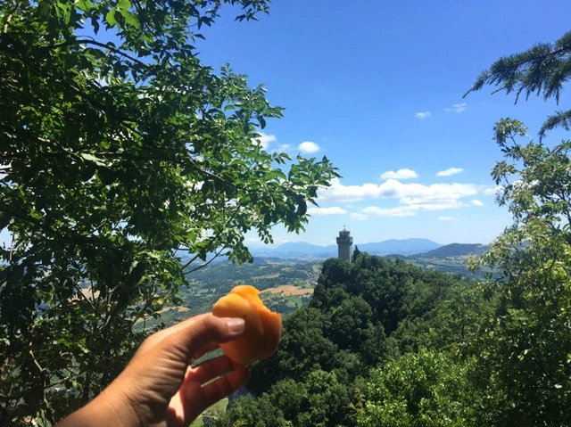 第３の砦モンターレを見ながらひとりランチ