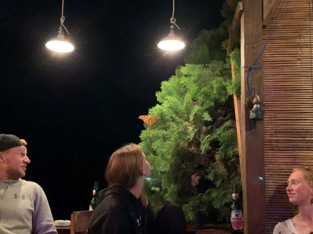 暗闇から黄色い羽根をはためかせて現れた“何か”にくぎ付けの旅人たち