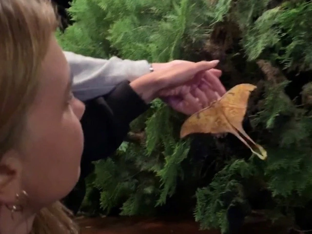 ヤダー！　持つの？