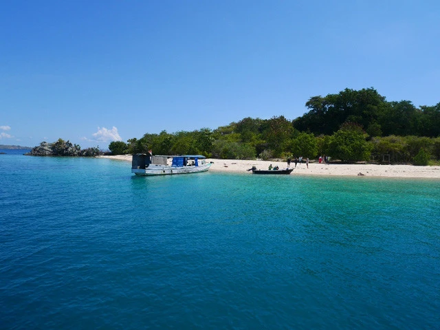 美しい島々を周遊しながら、インドネシアの海を遊ぶよ！