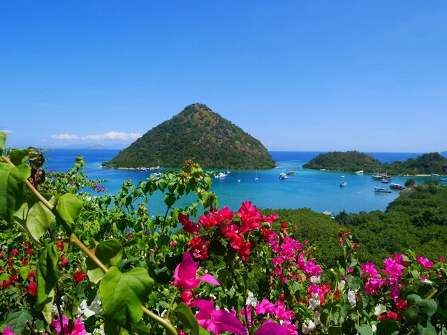 ホテルから近くの無人島へ遊びに行ったりできるらしい。ブーゲンビリアとのコントラストがきれい