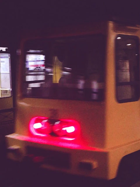 "音鉄"市川紗椰のひそかな楽しみ「ブルートレインの発車時から到着時までの音を聴きながら寝ると、自宅のベッドが寝台列車になります」