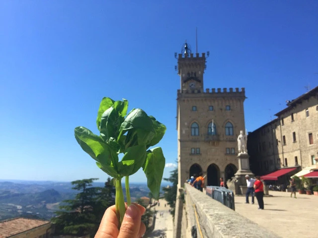 街の中心リベルタ広場でバジルを食べる