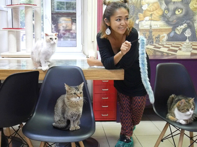 旅人マリーシャの世界一周紀行 第２２１回 世界一猫好きの国