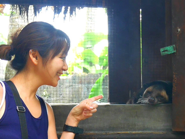 旅人マリーシャの世界一周紀行：第２２４回「香りはシャネル！？ バリで飲む世界一高級な"うんちコーヒー"」