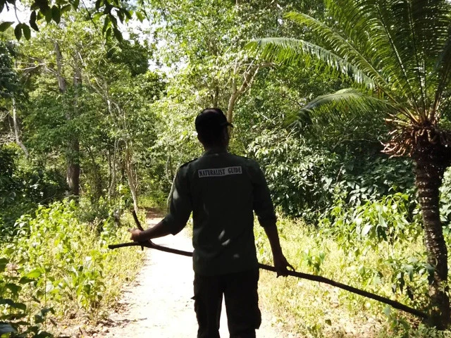 トビーの装備、先が二股に割れた細い枝1本。心細いよ~!