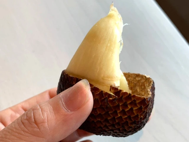 球根のような見た目の甘酸っぱい果物「サラック」。別名・スネークフルーツ