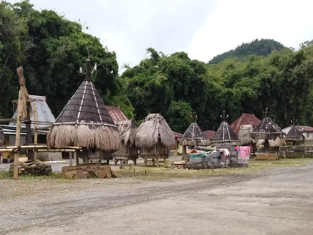 ヨハンが連れて行ってくれた村