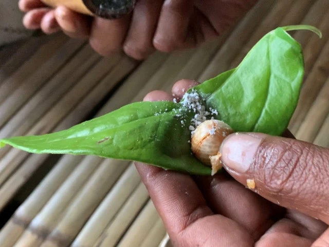 ココナッツでも砂糖でもない。何やら怪しい白い粉に見えてヤバそうで仕方がない