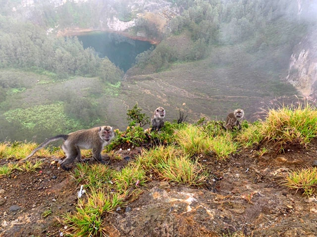 深緑色の湖と言われている「老人の霊の行く湖」の方が実際は黒っぽく、周辺には野生の猿がいた