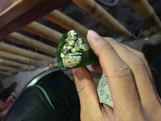 マジックマッシュルームをすすめられた。もちろんお断り