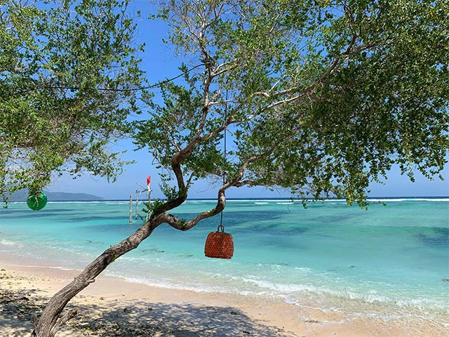 海のキレイさ抜群!こんな楽園があったなんて知らなかった!