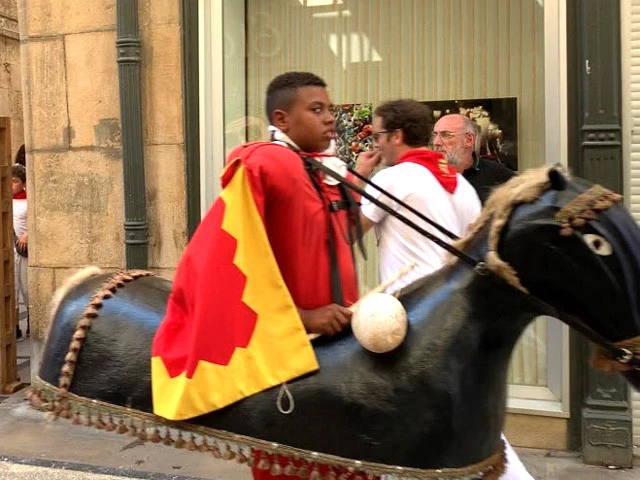 このサルディコス少年は強うそうだ。狙われないように気をつけようっと