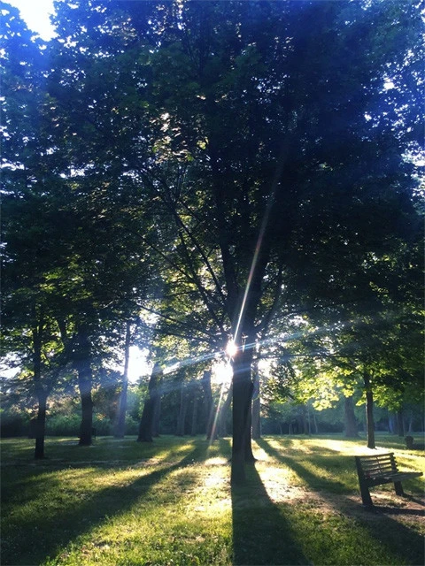 たかこさんが朝ジョグをする公園