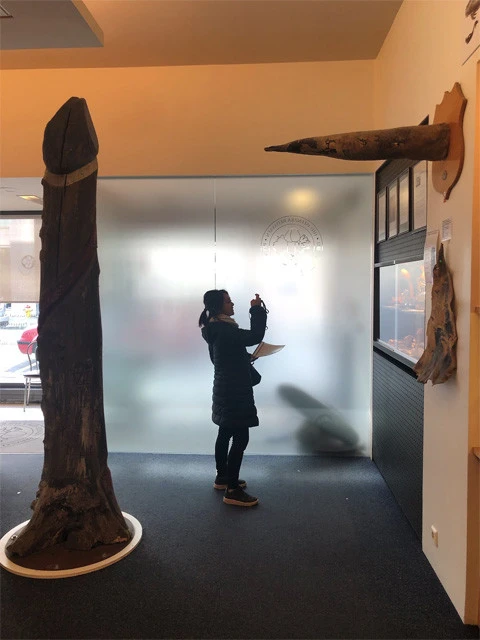 ペニス博物館にてちゃんと学ぶ気持ち