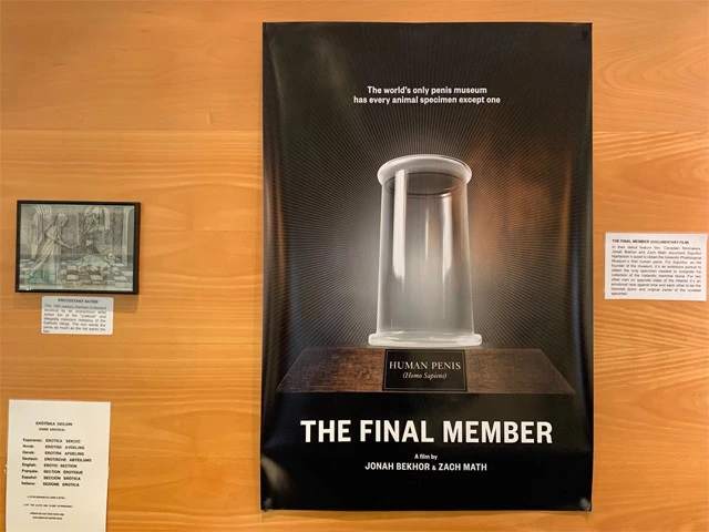 映画『The Final Member(最後の1本)』