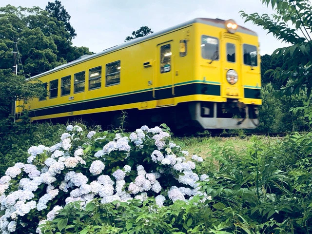 市川紗椰の"マダムへの一歩"「お花を見ると喜ばしい気持ちになる年齢になってしまったのです」