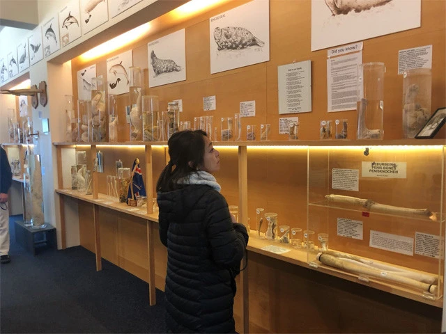 どんな顔して見てるのよ私