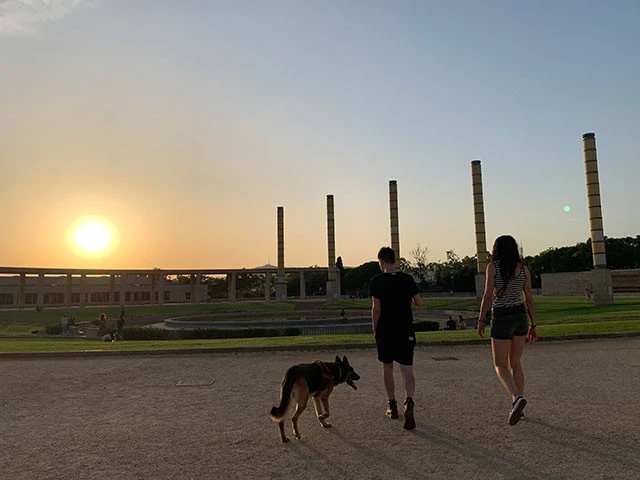 ただの散歩とは思えないロマンチックなナニコレ（笑）