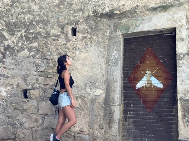 近寄ってみるが、ドラクエ風に言うと「なんでもない。ただのかべのようだ」