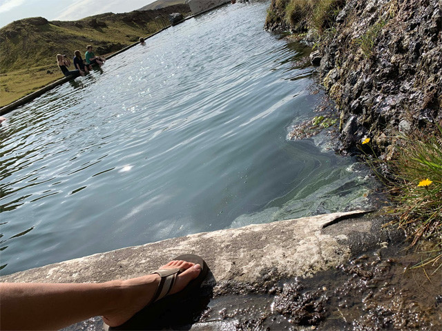 プールの隅に浮かぶ苔やヘドロのようなもの