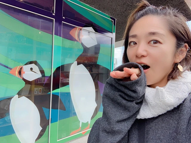 アイスランドのお土産屋にはパフィングッズがいっぱいあったよ