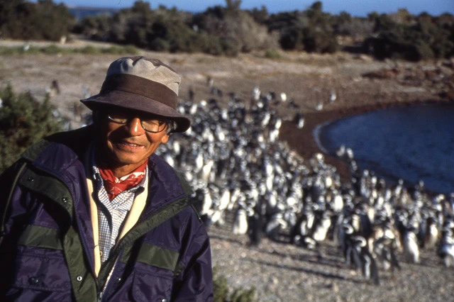 アルゼンチンでは野生ペンギンも観察。アマゾンを含めて南米には何十回も訪れたムツゴロウさんだが、アルゼンチンやチリの南端までは行ったことがないそう