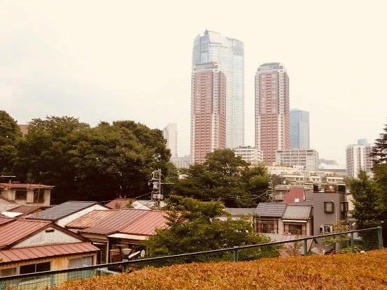 市川紗椰のお気に入りスポット、元麻布２丁目の"谷戸"「まるで映画のセットのような"ＴＨＥ下町"風情」