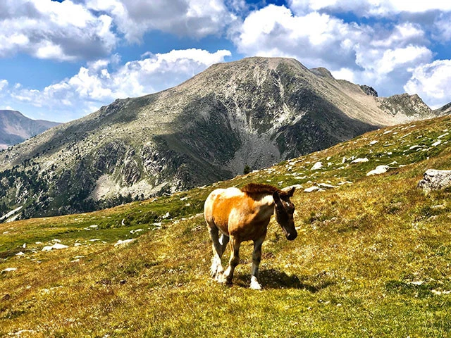 トレイルランは、まるで旅をしているようでもあるなと思った(アントンス提供)