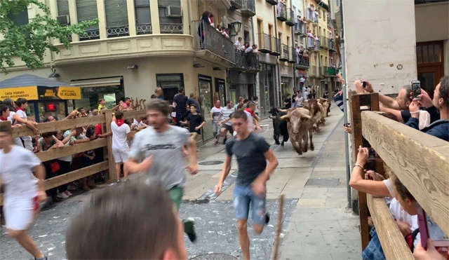 念願の「牛追い」のミニ版。こんな至近距離で見れるなんてラッキー!