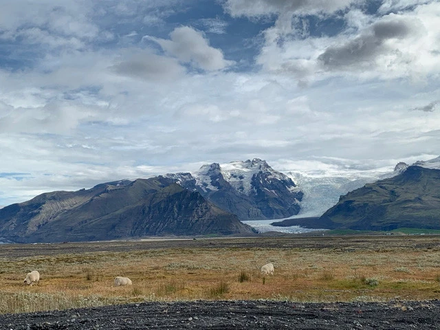 車窓から見えた氷河の景色と羊たち