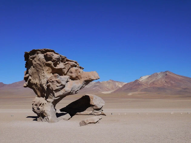 ボリビアの高山地帯にある孤立した岩層「石の木(アルボル・デ・ピエドラ)」