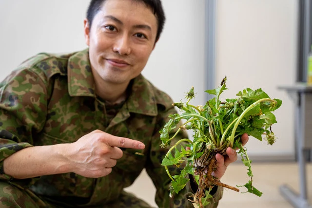ワイルドな味？　タンポポコーヒー　①根ごと掘り出し、土を洗い落とす
