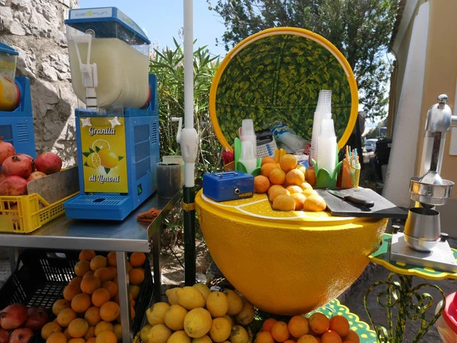 ポジターノで食べたレモンのグラニータもマシンメイド