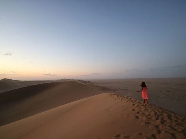 約８千万年前に生まれた世界最古の砂漠「Ｄｕｎｅ７」