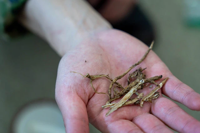 ②天日で乾燥させる