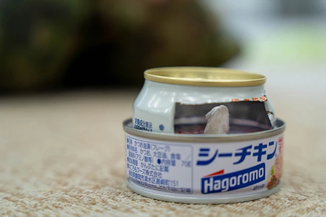 ③①の上に②を置き、ティッシュを穴に詰めて完成