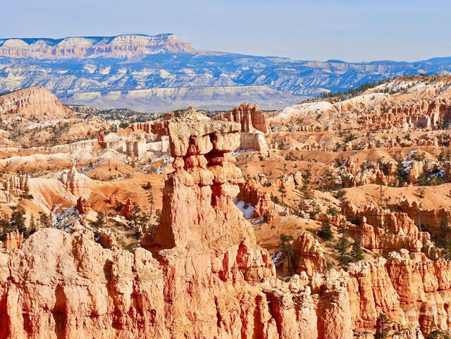 3つ仲良く並んだ「スリーシスターズ」もいます