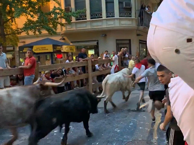 柵の間から牛追いを見ることができるので子供も女性も安心