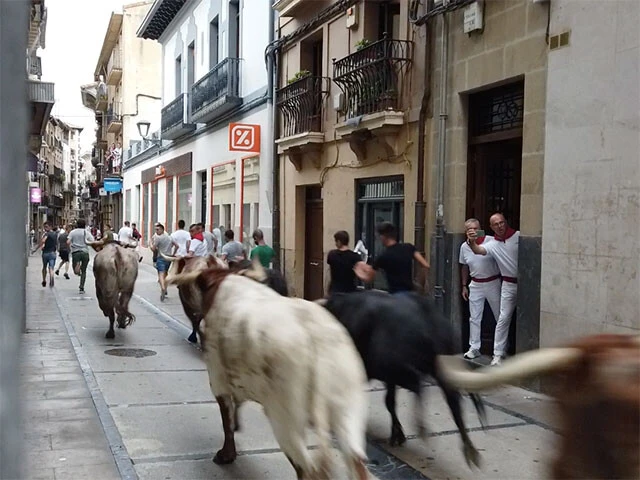 路地を牛と男たちが全力疾走！