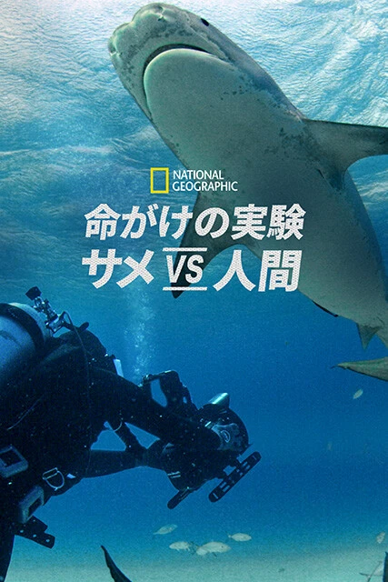 大自然の素顔を丁寧に描き出した傑作「ナショナル ジオグラフィック作品」も多数配信中。映し出される雄大な映像は、日々の仕事ですさんだ心を癒やしてくれるはず © National Geographic