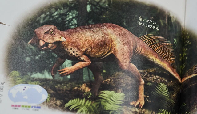 プシッタコサウルスはメラノソームの構造から体色もわかっており、その色から森に生息していたと推測されている。図鑑に描かれた背景にも意味がある