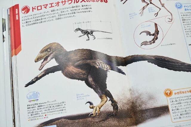 『ジュラシック』シリーズで主役級に登場するヴェロキラプトルは、別の恐竜のデイノニクスをモデルにしている。1作目公開当時は羽毛が生えていないと考えられていたが......研究が進み、今は羽毛を持つ鳥に近い外見をしていたと考えられている